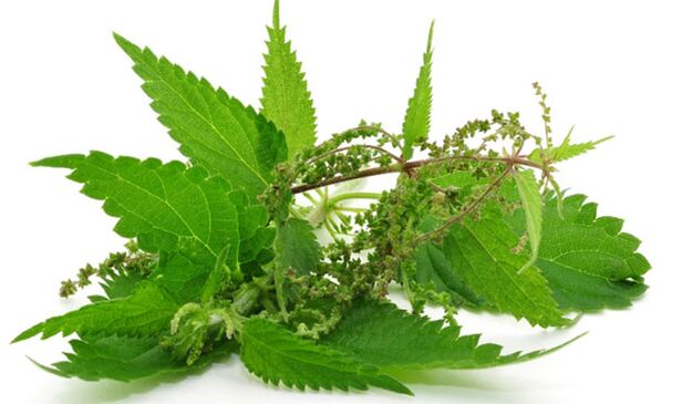 nettles to increase potency