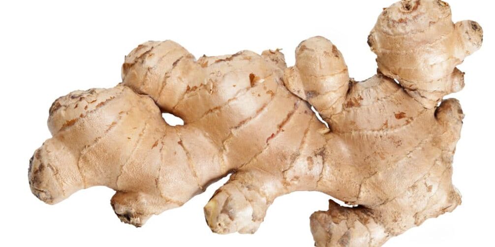 the root of the ginger
