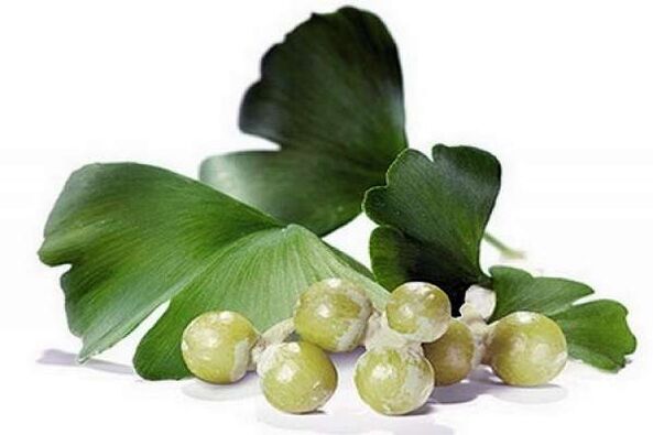 Ginkgo biloba increases male potency