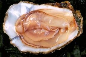 Oysters are a powerful sex drive stimulant