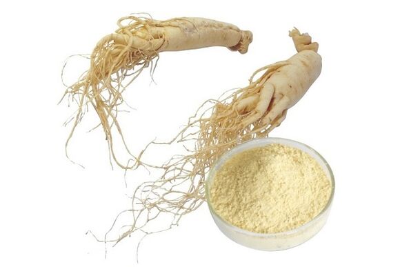 Ginseng root increases libido and improves erections