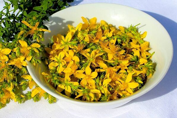 St. John's wort